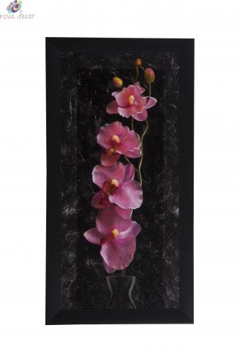 Framed Print- Pink orchid