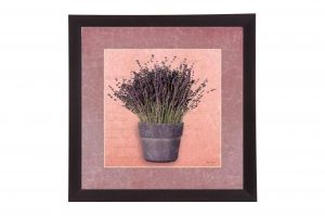 Framed Print - Aroma of lavender