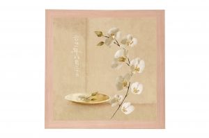 Framed Print - White orchid
