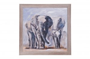 Framed Print - A herd of elephants
