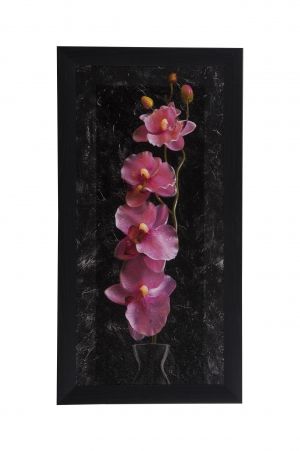 Framed Print- Pink orchid