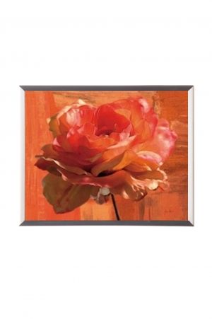 Mylar framed print "Orange Rose"