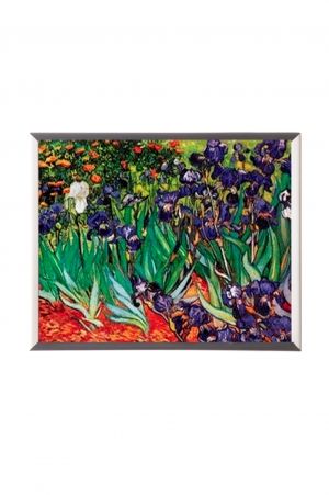 Mylar framed print "Les Iris"