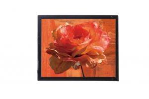 Mylar framed print "Orange Rose"