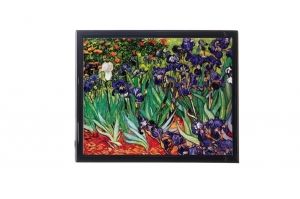 Mylar Framed Print  – Irises in the field