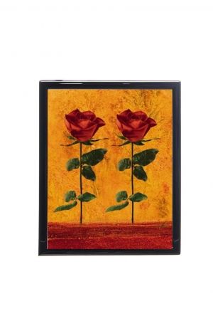 Mylar Framed Print - Roses
