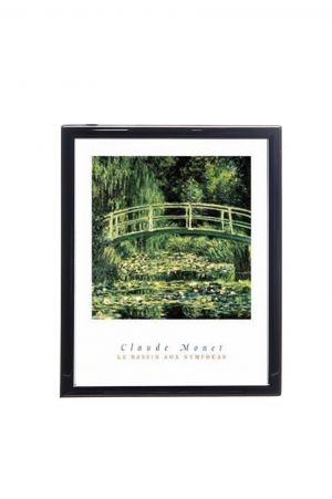 Mylar Framed Print - Water lillies