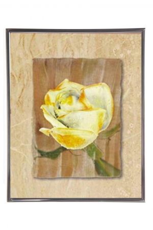 Mylar Framed Print – Yellow rose