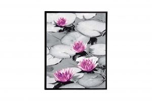 Mylar Framed Print – Water lillies