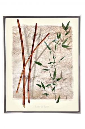 Mylar Framed Print - Bamboo 