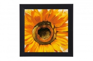 Framed Print - Yellow chrysanthemum