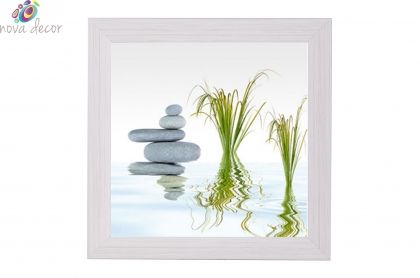 Framed Print - Water reed