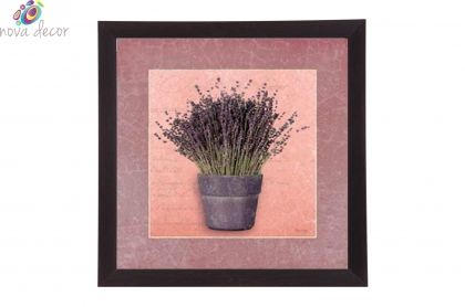 Framed Print - Aroma of lavender