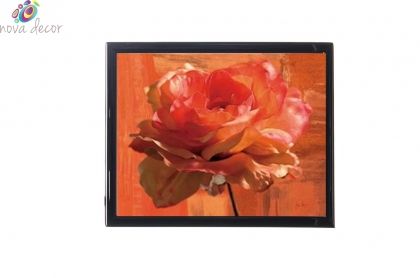 Mylar framed print "Orange Rose"