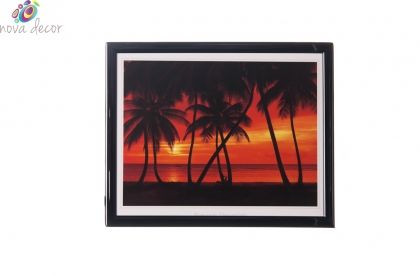 Mylar framed print "California Dream II"