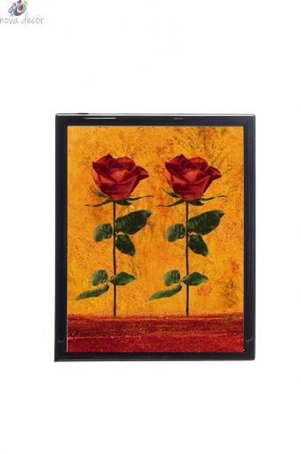 Mylar Framed Print - Roses