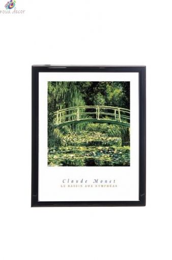 Mylar Framed Print - Water lillies