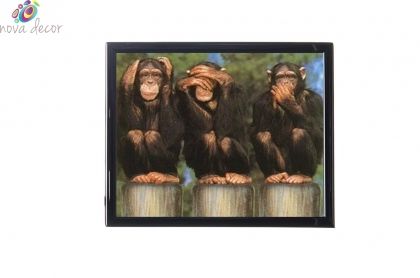 Mylar framed print "Speak no evil, See no evil, hear no evil"