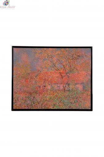 Mylar Framed Print  – Autumn sun