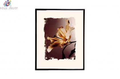 Mylar Framed Print – Alstroemeria 