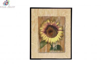 Mylar Framed Print – Sunflower