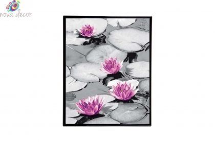 Mylar Framed Print – Water lillies