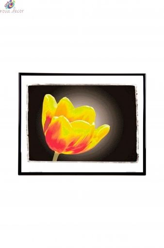 Mylar Framed Print – Brightness