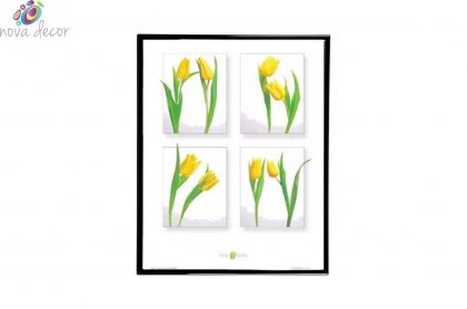 Mylar Framed Print – Yellow Crocuses