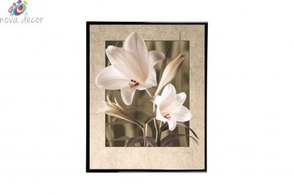 Mylar Framed Print – Lilium