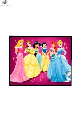 Mylar Framed Print - Princess