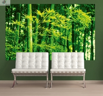 Photowall Bamboo in Spring