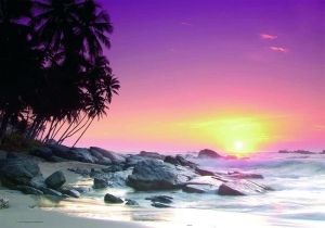 Paradise Tropic