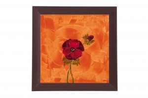 Framed Print - Red poppy