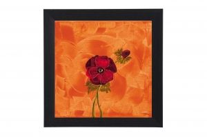 Framed Print - Red poppy