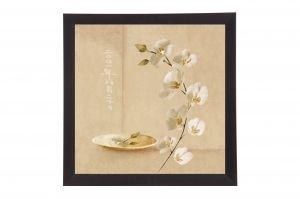 Framed Print - White orchid