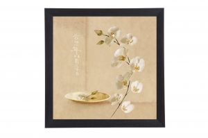 Framed Print - White orchid