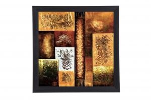 Framed Print - Natural phenomenon