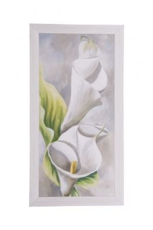 Framed Print - White callas