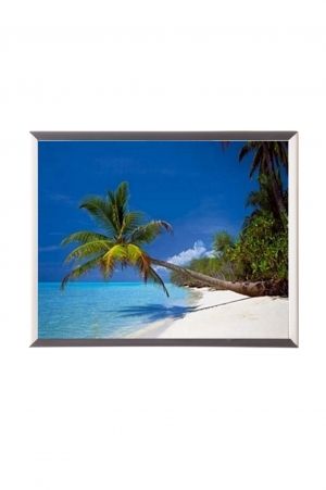 Mylar framed print "Palm Beach"