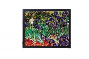 Mylar framed print "Les Iris"