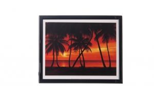 Mylar framed print "California Dream II"