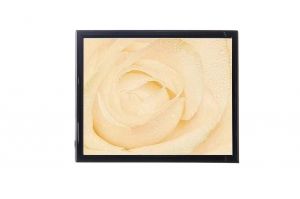 Mylar framed print "White Rose"