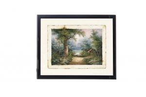 Mylar Framed Print – A walk in the forest