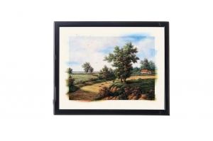 Mylar Framed Print – Landscape