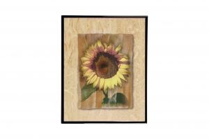 Mylar Framed Print – Sunflower