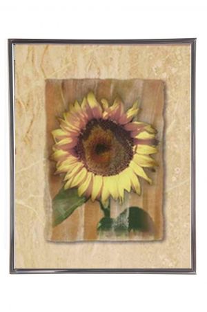 Mylar Framed Print – Sunflower