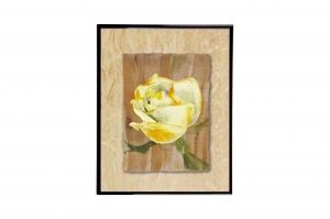 Mylar Framed Print – Yellow rose