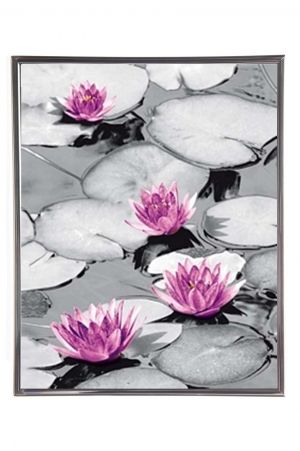 Mylar Framed Print – Water lillies