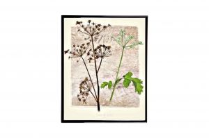 Mylar Framed Print - Flowers outside the frame