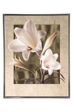 Mylar Framed Print – Lilium